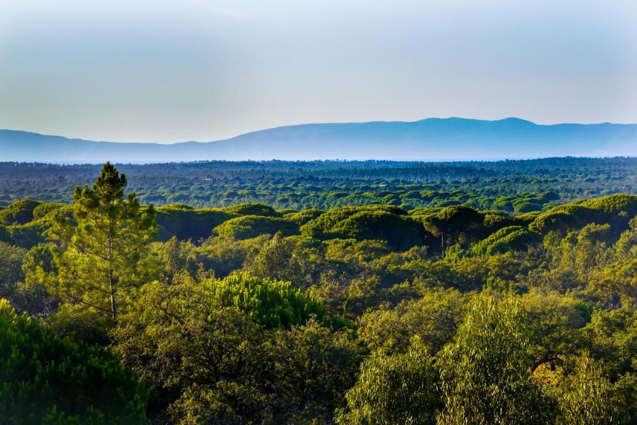 A Serenada Enoturismo Grândola Екстериор снимка