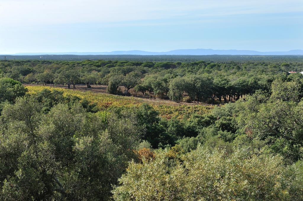 A Serenada Enoturismo Grândola Екстериор снимка